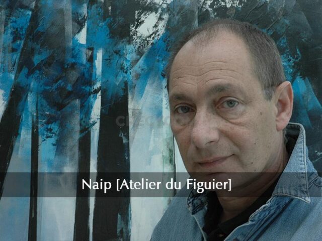 NAIP [Atelier du Figuier]
