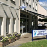 CLINIQUE VÉTÉRINAIRE DE BEL AIR