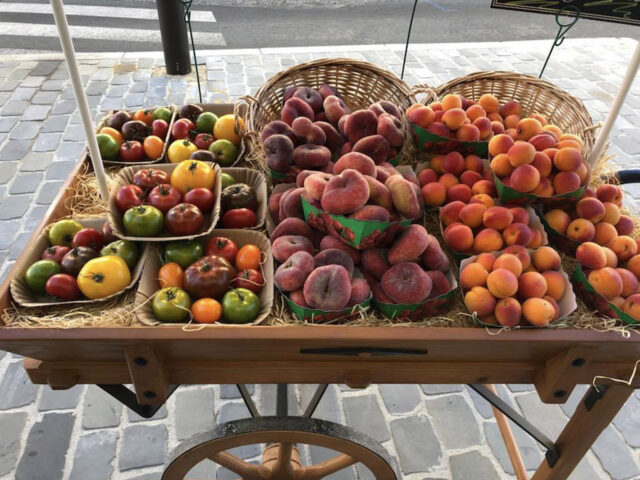 PAUSE PRIMEUR