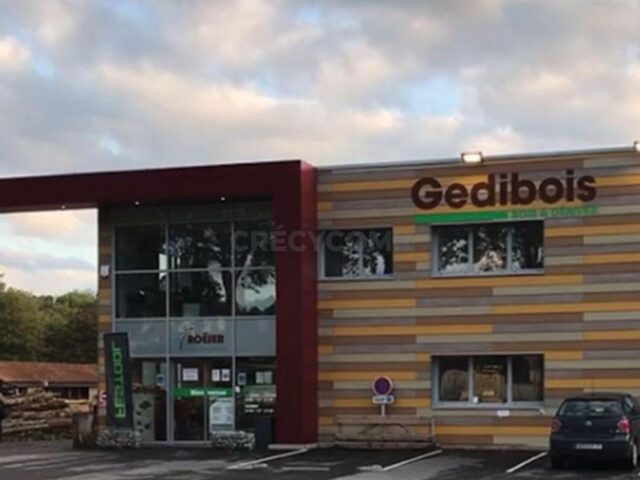 GEDIBOIS ROESER
