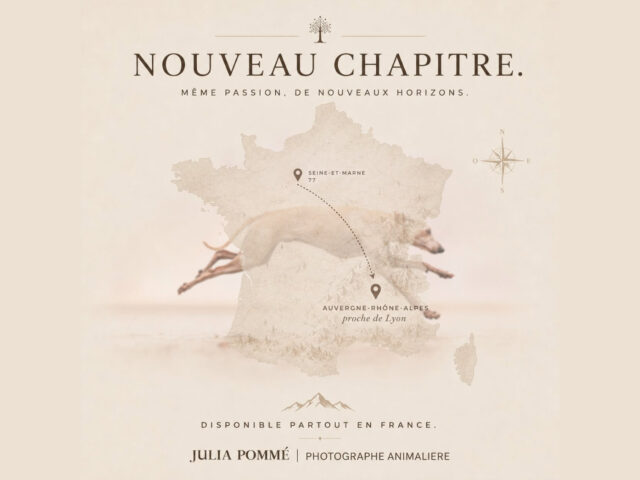 JULIA POMMÉ PHOTOGRAPHE
